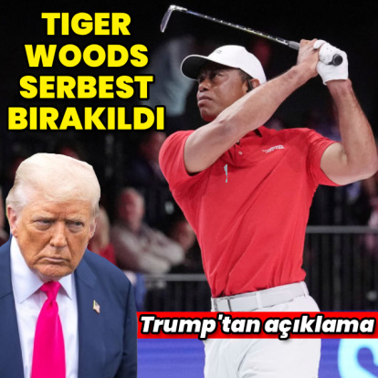 Tiger Woods gözaltına alındı