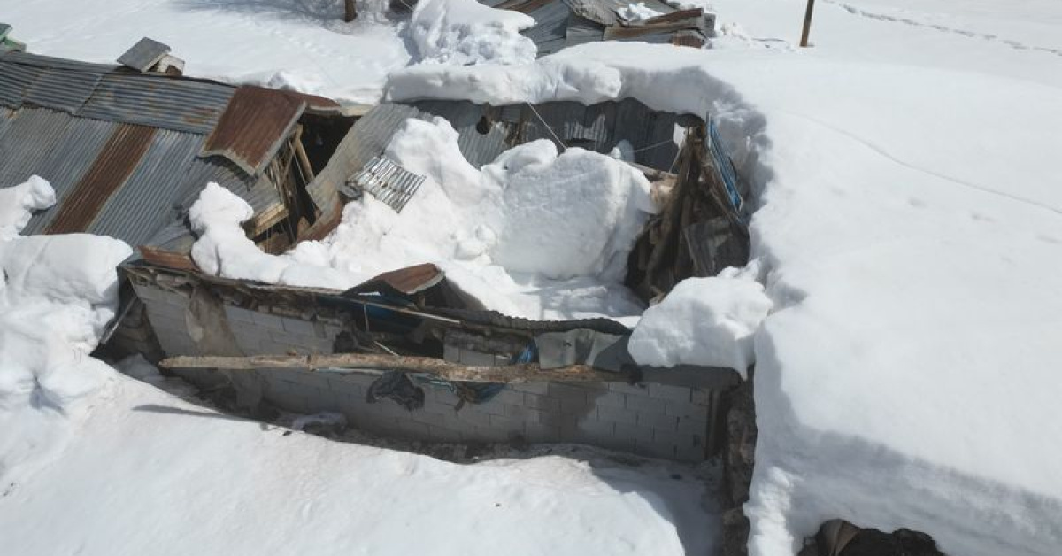 Erzincan'da Ahır Çatılar Yıkıldı, Hayvanları Köye Getiremediler