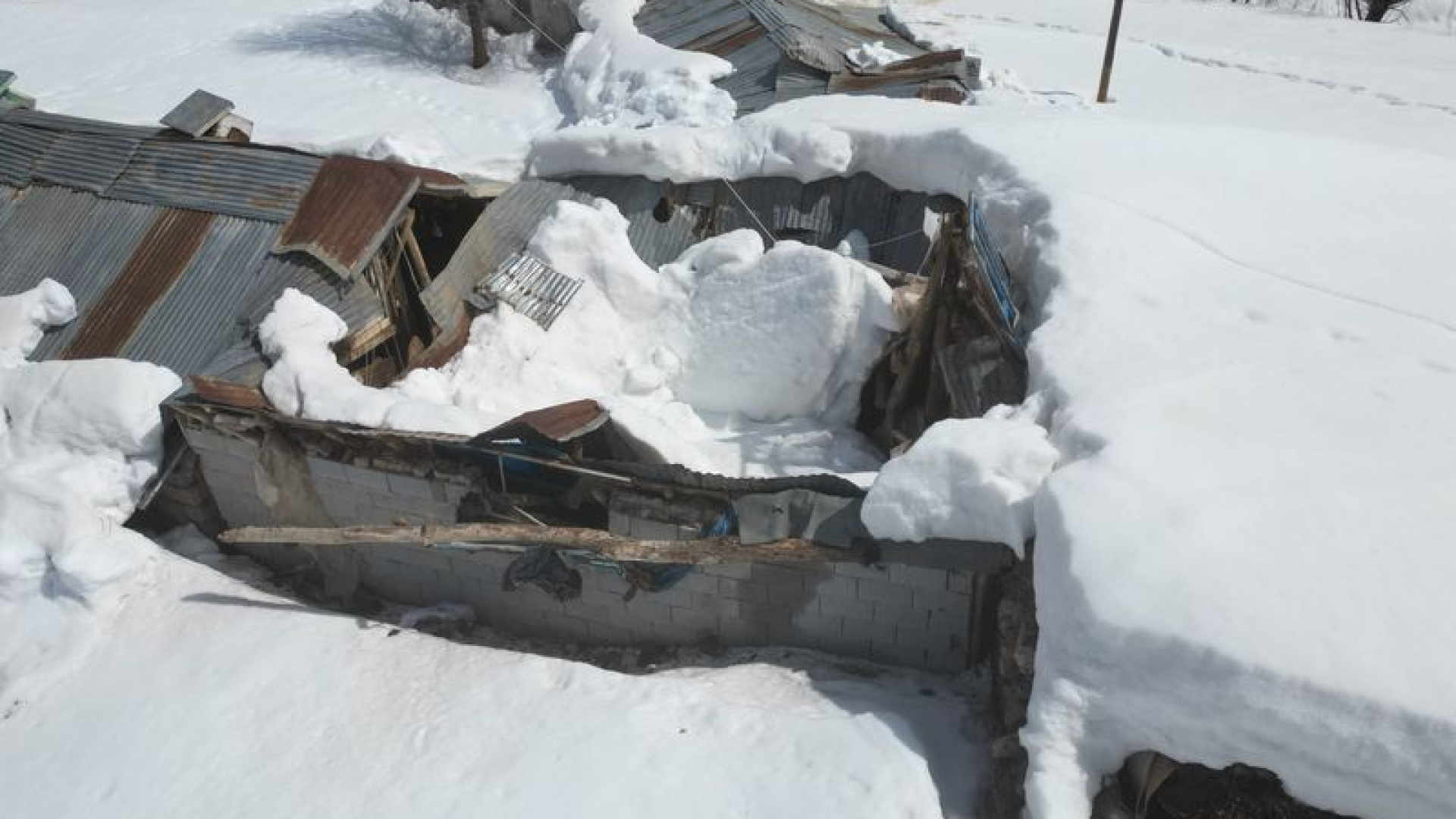 Erzincan'da ahırların çatısı çöktü | Son dakika haberleri