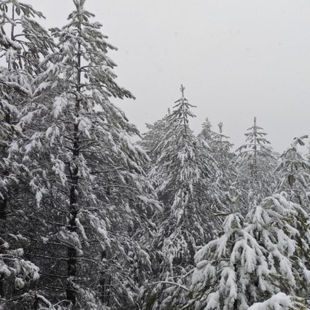 18 il için kar ve sağanak yağış uyarısı