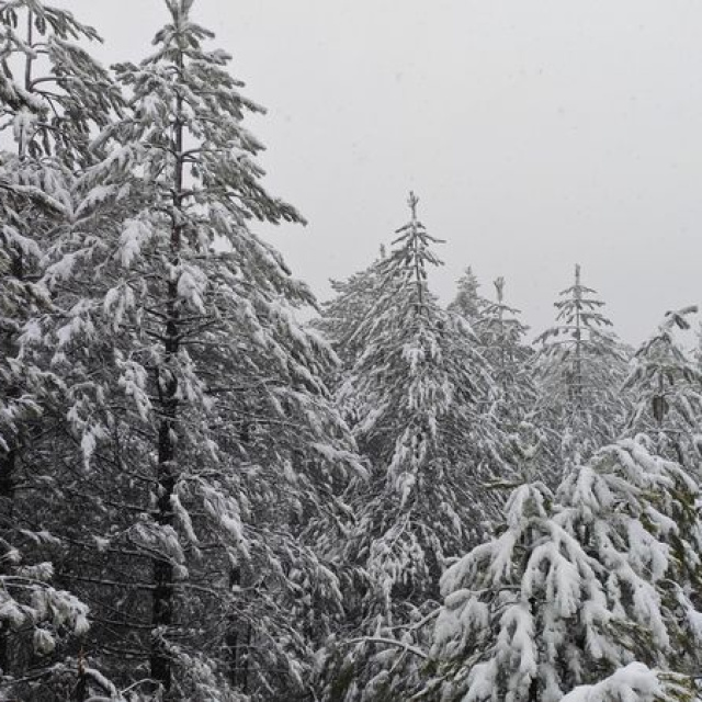 18 il için kar ve sağanak yağış uyarısı