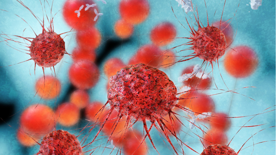 Kanser yaş tanımıyor