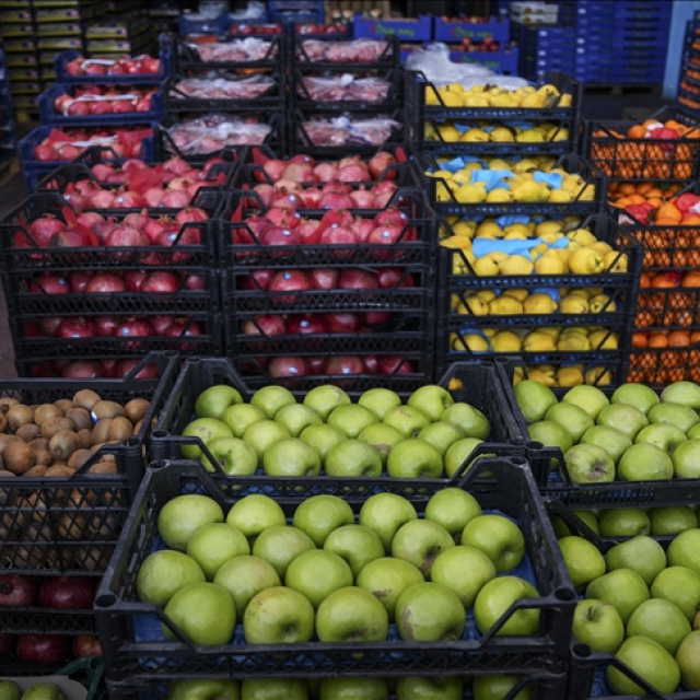 Hallerde vergi kaybı tespit edildi