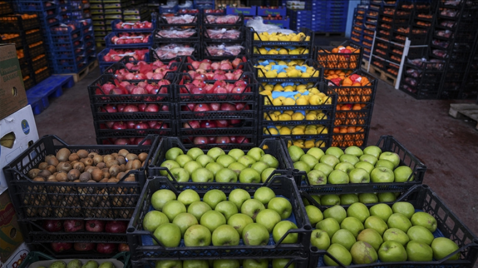 Hallerde vergi kaybı tespit edildi