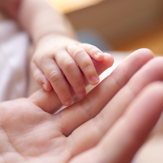 6 maddede doğum izni rehberi