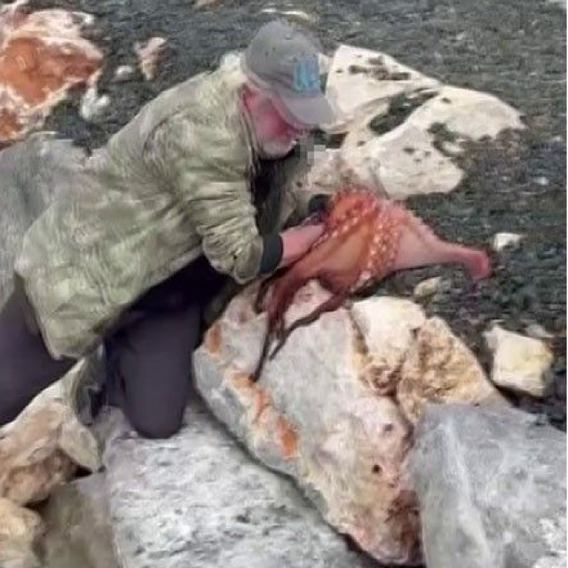 Dev ahtapotu elleriyle avladı!