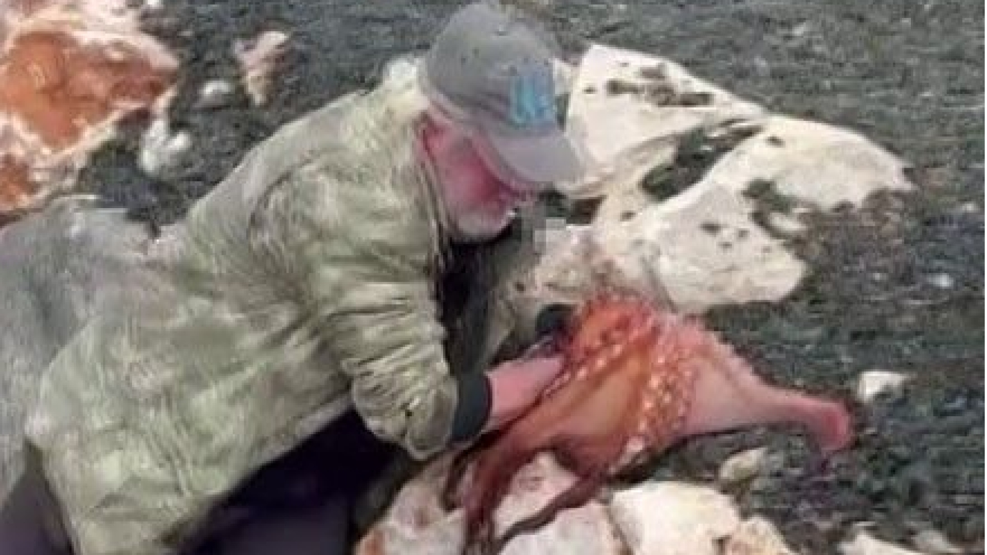 İzmir'de Balıkçı, Kayalıklarda Dev Ahtapotu Çıplak Elleriyle Yakaladı
