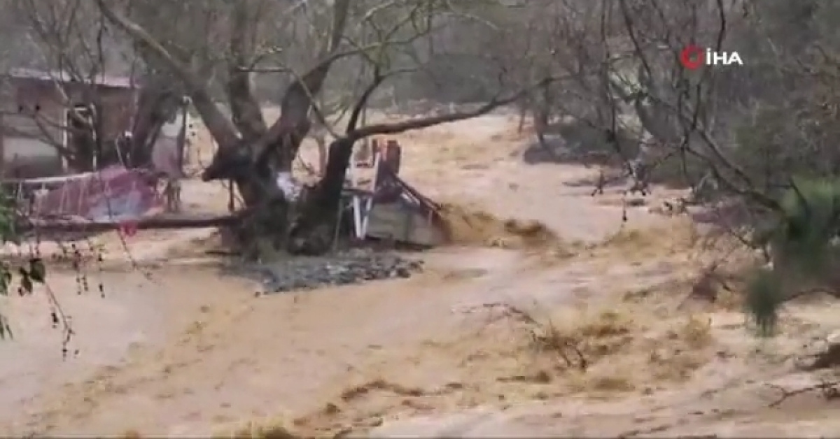 Yalova'da Taşkınlar, 5 Büyükbaş Hayvan Öldü