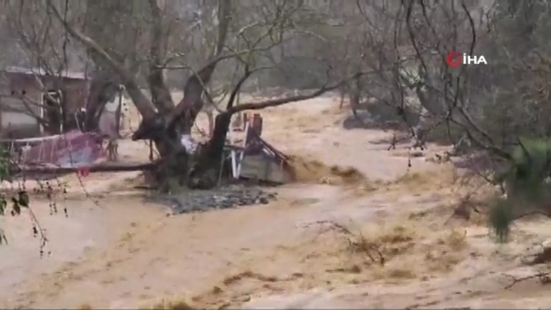 Yalova'da dereler taştı: 5 büyükbaş hayvan öldü | Son dakika haberleri