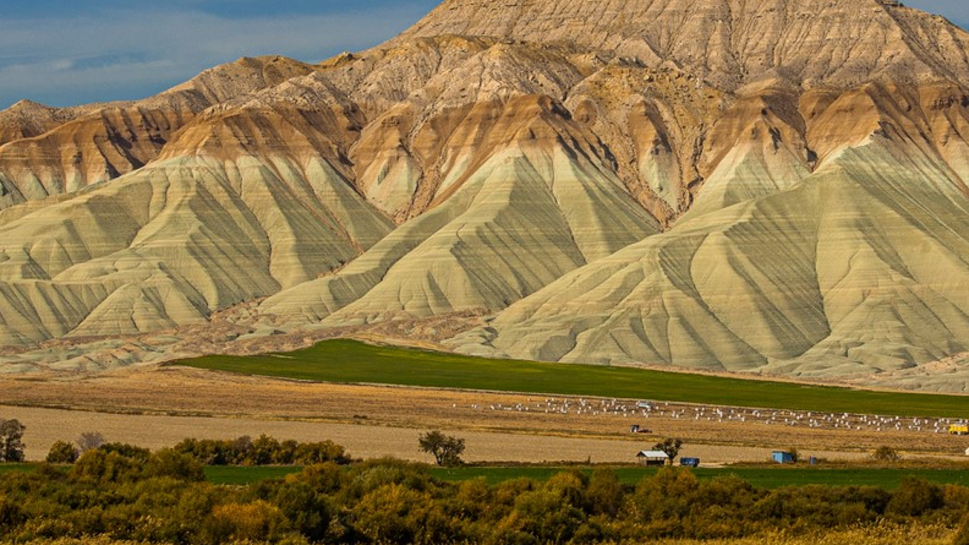 Ankara Kent Gezileri'ne başvurular başladı | Son dakika haberleri