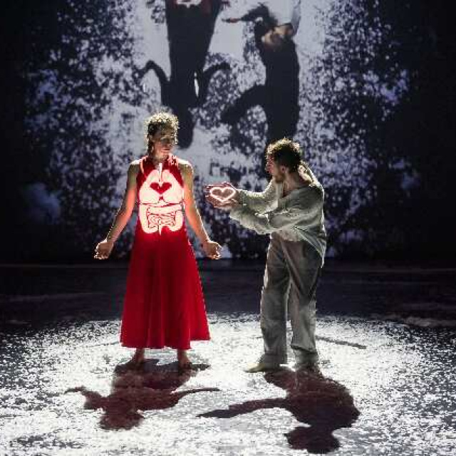 Jasmin Vardimon Company 'Now' gösterisine büyük ilgi