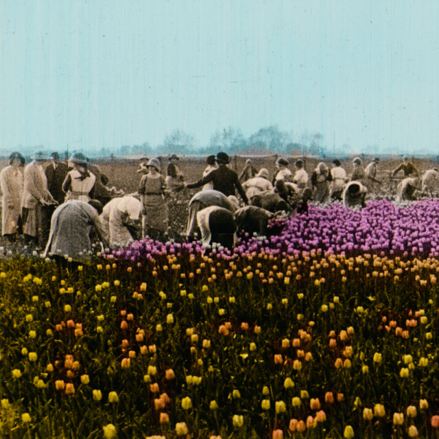 İstanbul Modern Sinema'da Sessiz Film Günleri