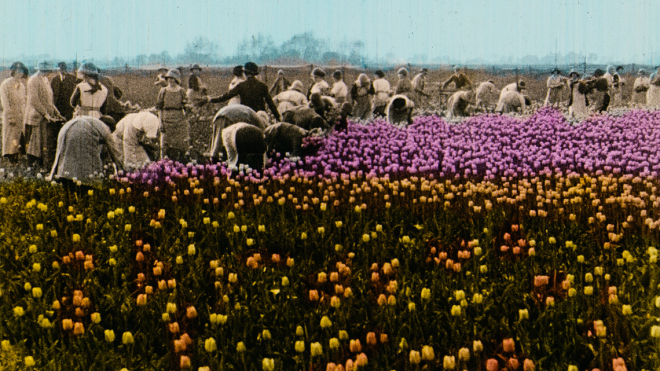 İstanbul Modern Sinema'da Sessiz Film Günleri