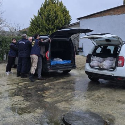 İstanbul'da 306 kilogram at eti ele geçirildi!