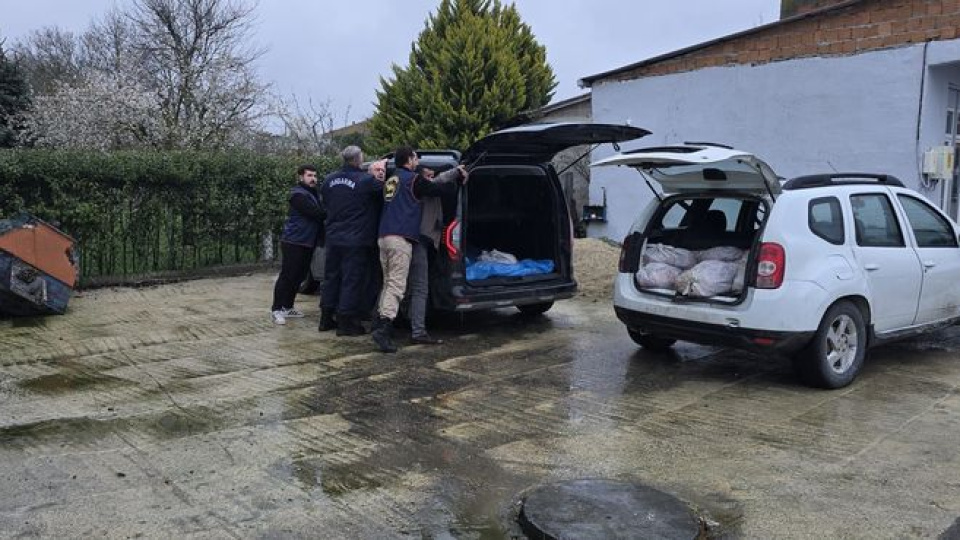 İstanbul'da 306 kilogram at eti ele geçirildi!