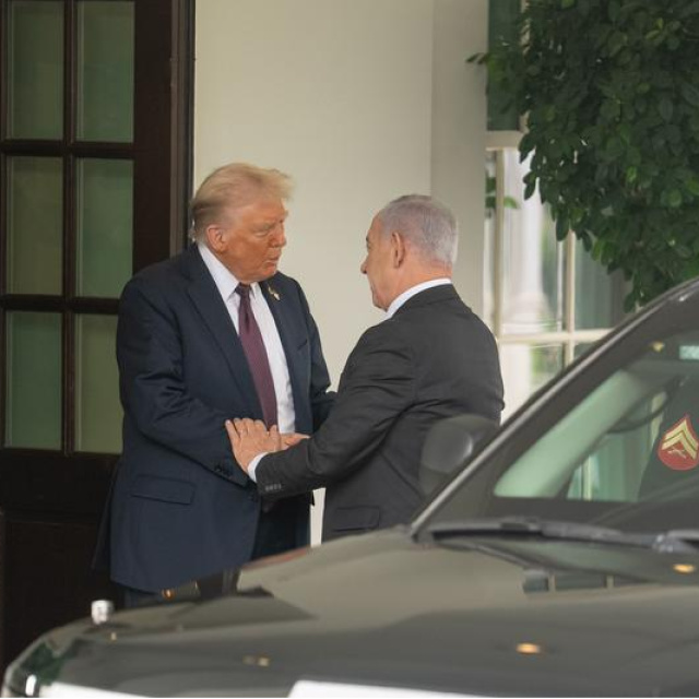 Turuncu voyvodanın 7 günü