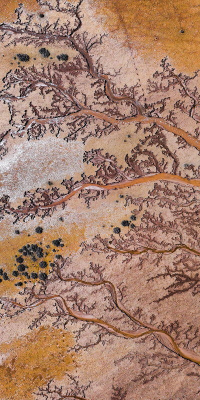 Kayseri'de 'hayat ağacı' oluşumu!