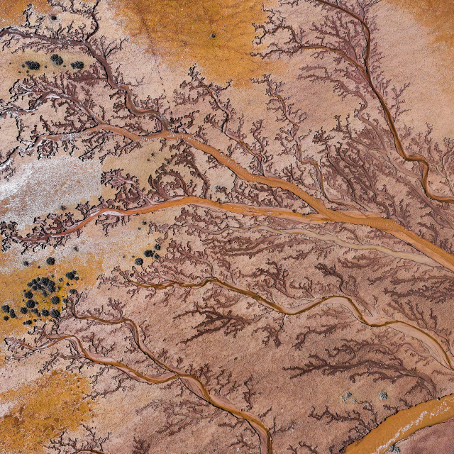 Kayseri'de 'hayat ağacı' oluşumu!