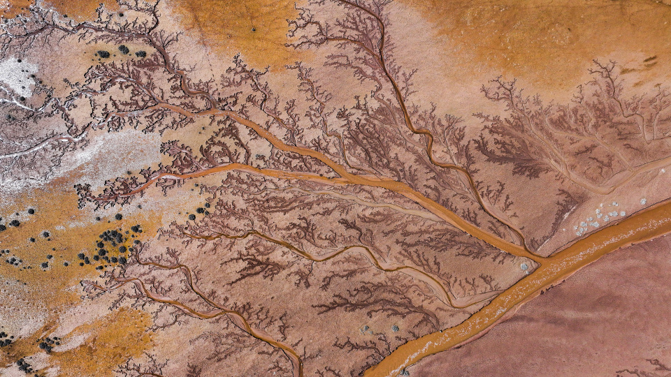 Kayseri'de 'hayat ağacı' oluşumu!