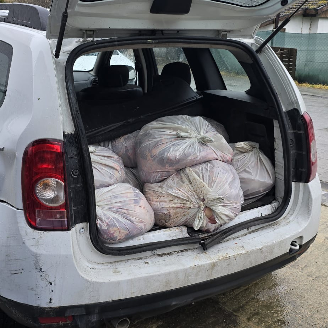 306 kilo at eti ele geçirildi