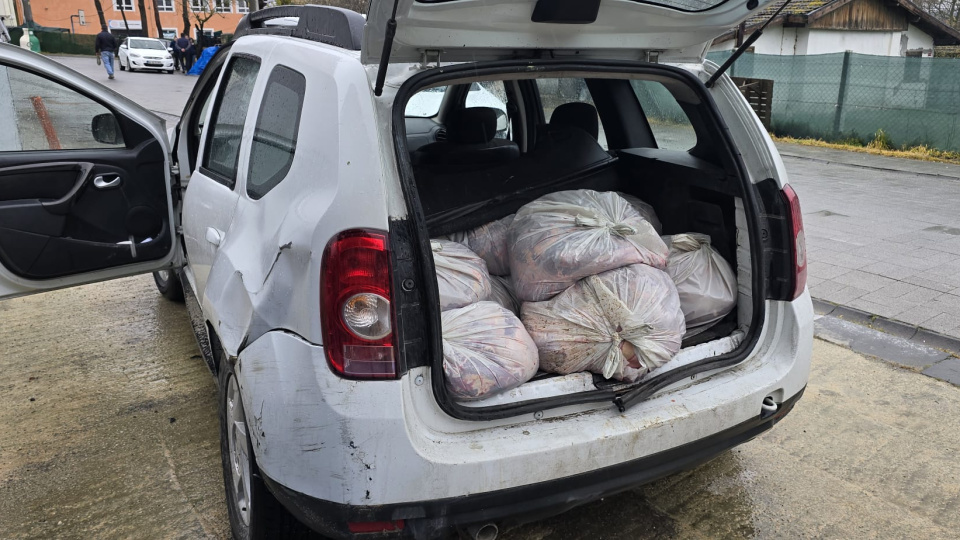 306 kilo at eti ele geçirildi