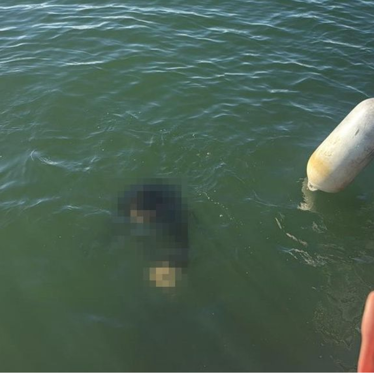 Denize düşen engelli genç can verdi