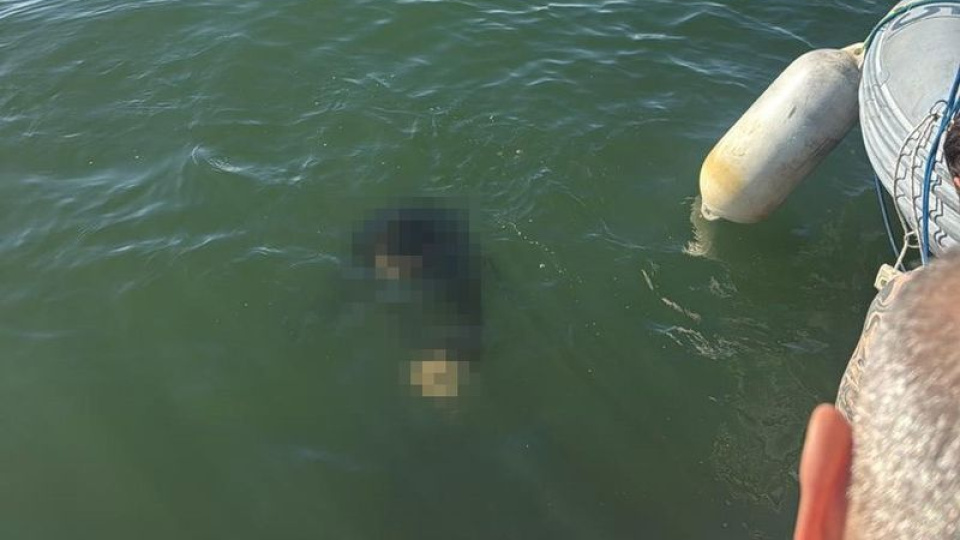 Denize düşen engelli genç can verdi