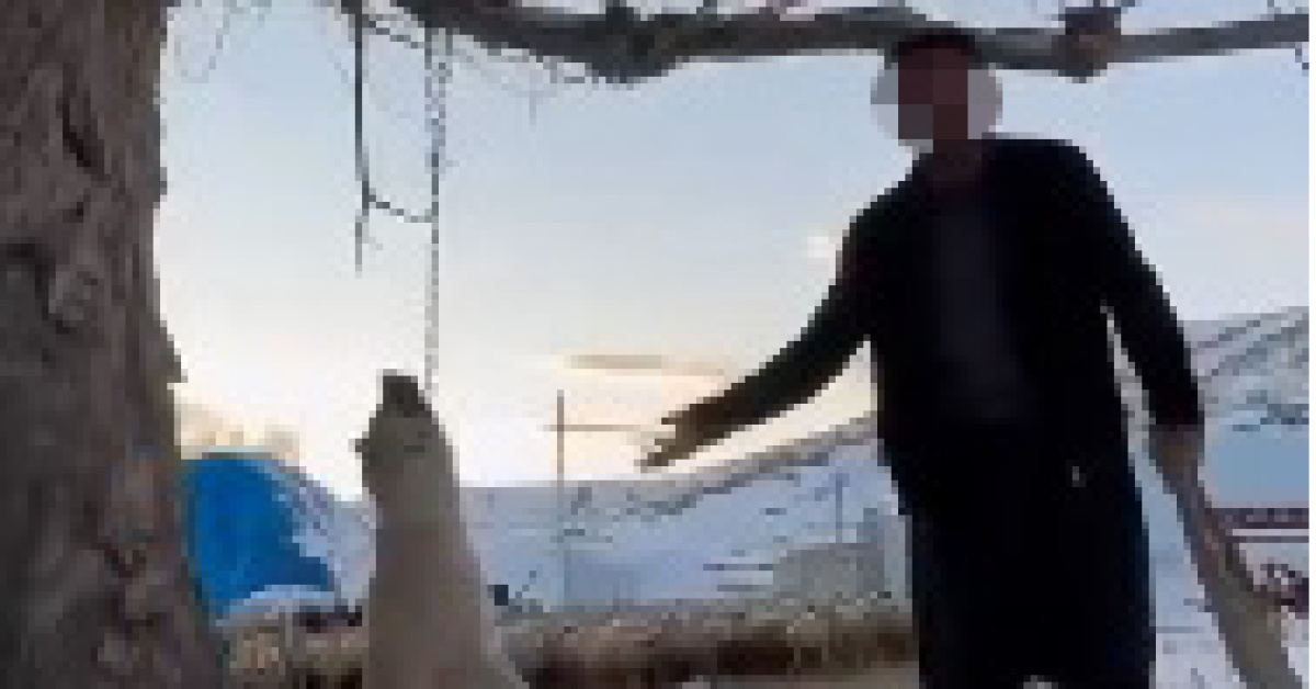 Kayseri'de Köpeği Asarak Ölterek Ceza Alacak