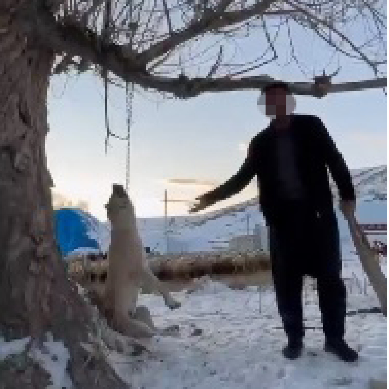 Köpeğini asıp öldürdü