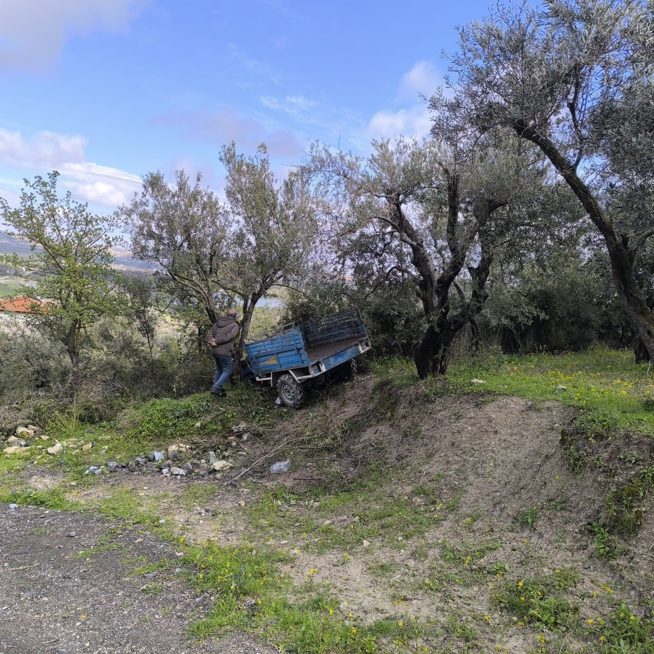 Zeytinliğe uçan patpatın sürücüsü öldü