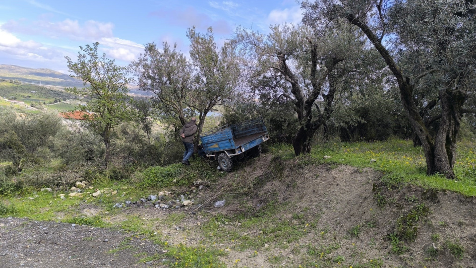 Zeytinliğe uçan patpatın sürücüsü öldü