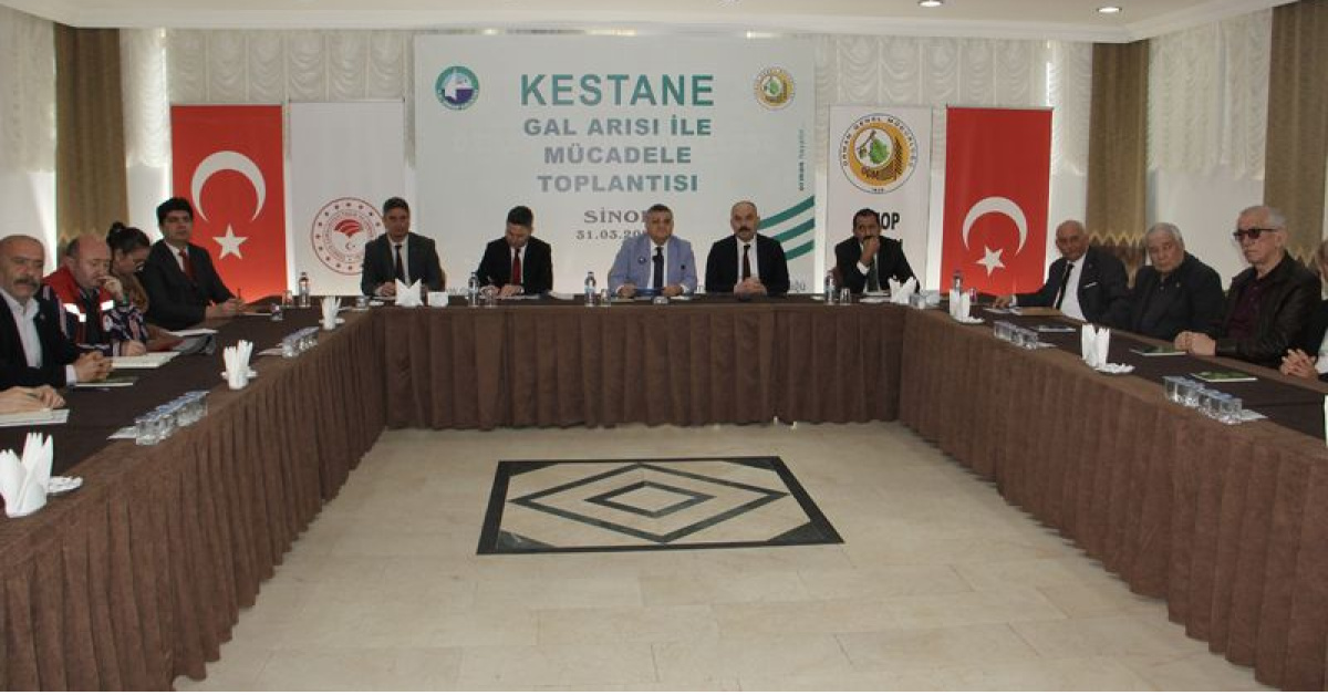 Sinop'ta Kestane Ağaçları için Avcı Böceklerine Ne Doneceksiniz?