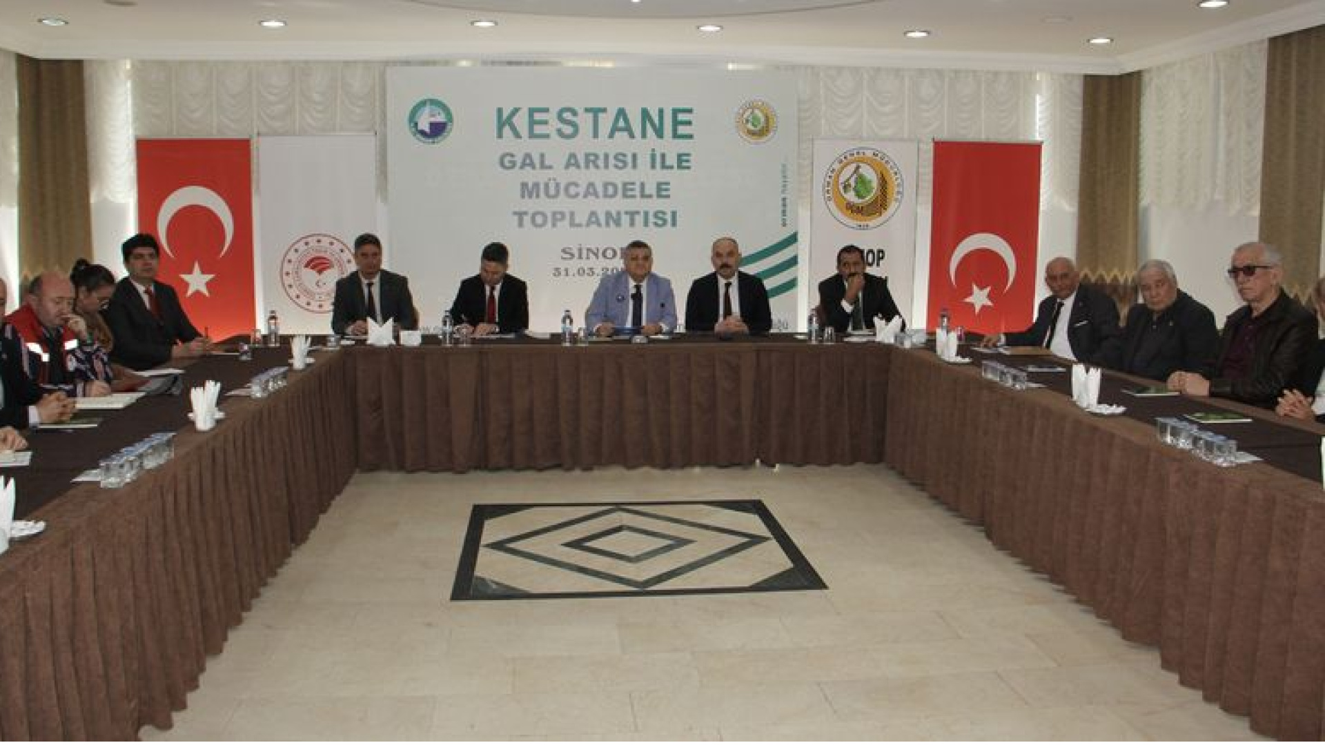 Sinop'ta kestane ağaçları için 10 bin avcı böcek | Son dakika haberleri