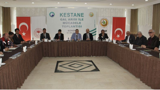 Sinop'ta kestane ağaçları için 10 bin avcı böcek