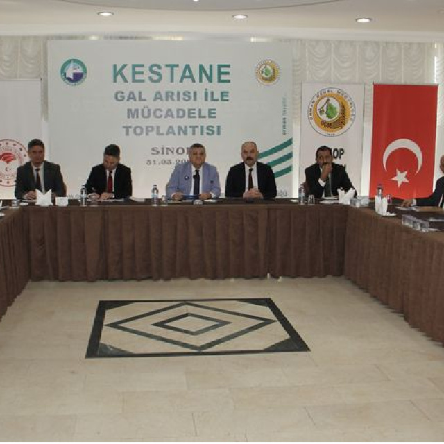 Sinop'ta kestane ağaçları için 10 bin avcı böcek