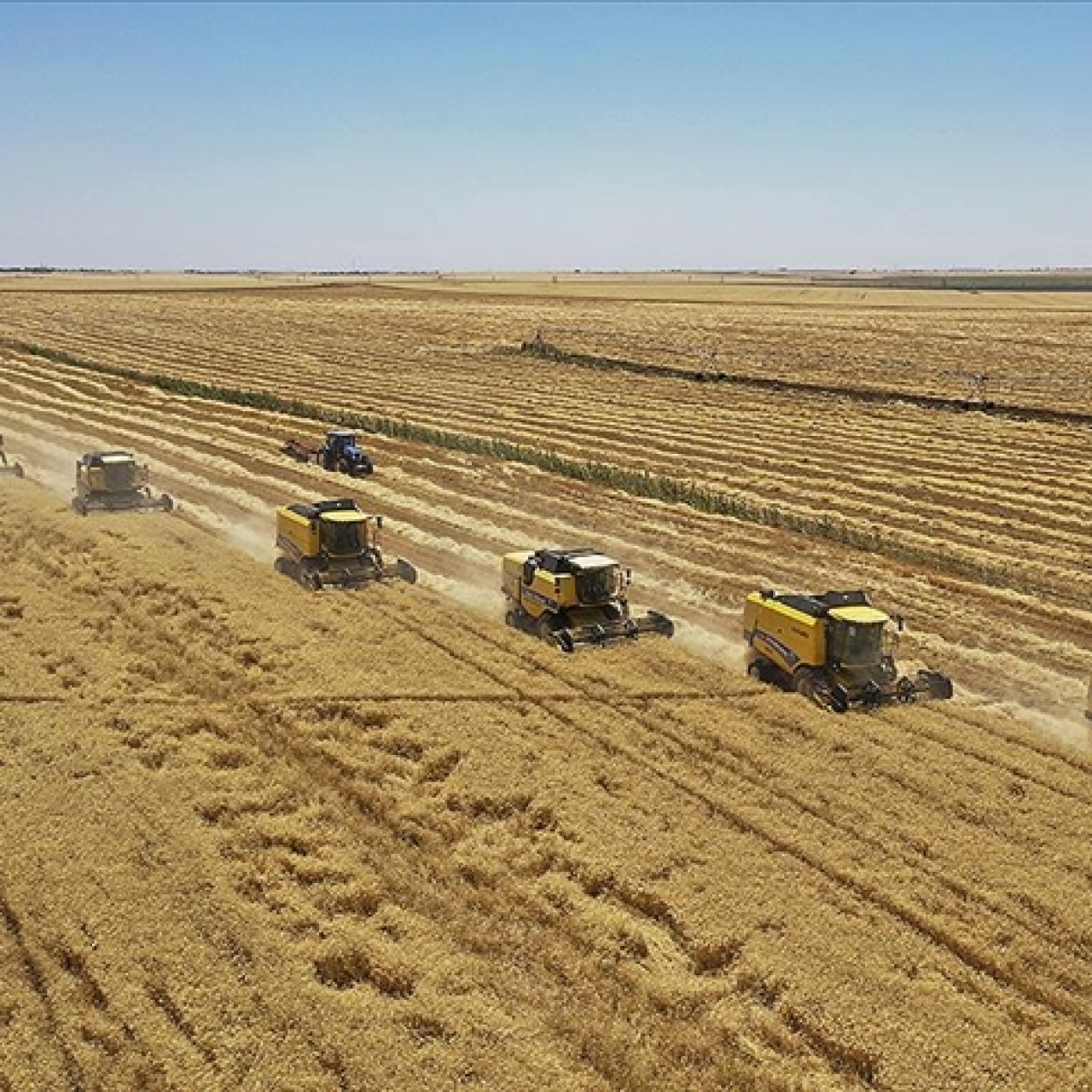 TMO yeni hasat sezonu öncesi hububat satış politikası belirledi