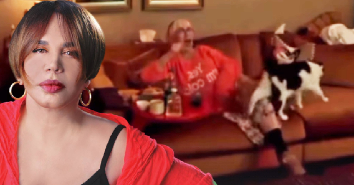 Sezen Aksu'nun Milli Maç Heyecanı