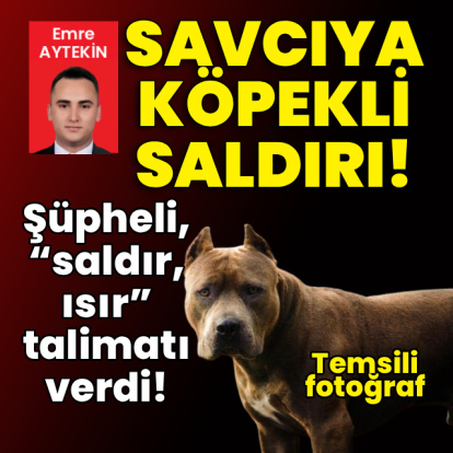 Savcıya köpekli saldırı! Şüpheli, “saldır, ısır” talimatı verdi