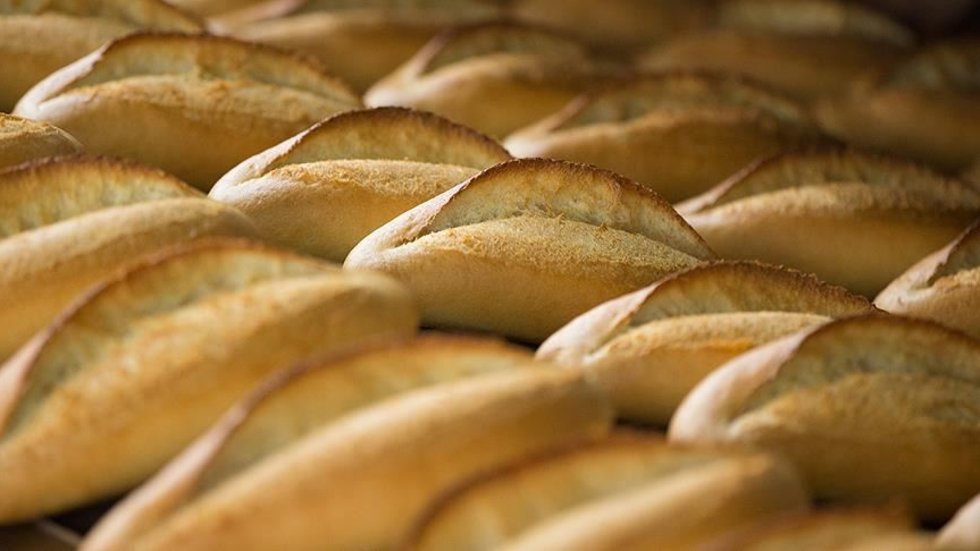 Ekmek fiyatlarına zam geldi! 2026 Ekmek fiyatı ne kadar oldu, hangi illerde ekmeğe zam yapıldı?