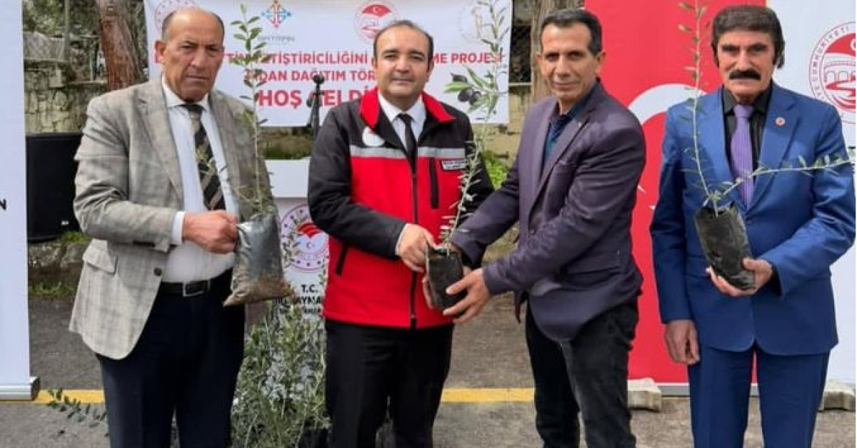 Batman'dazeytin fidanı dağıtıldı