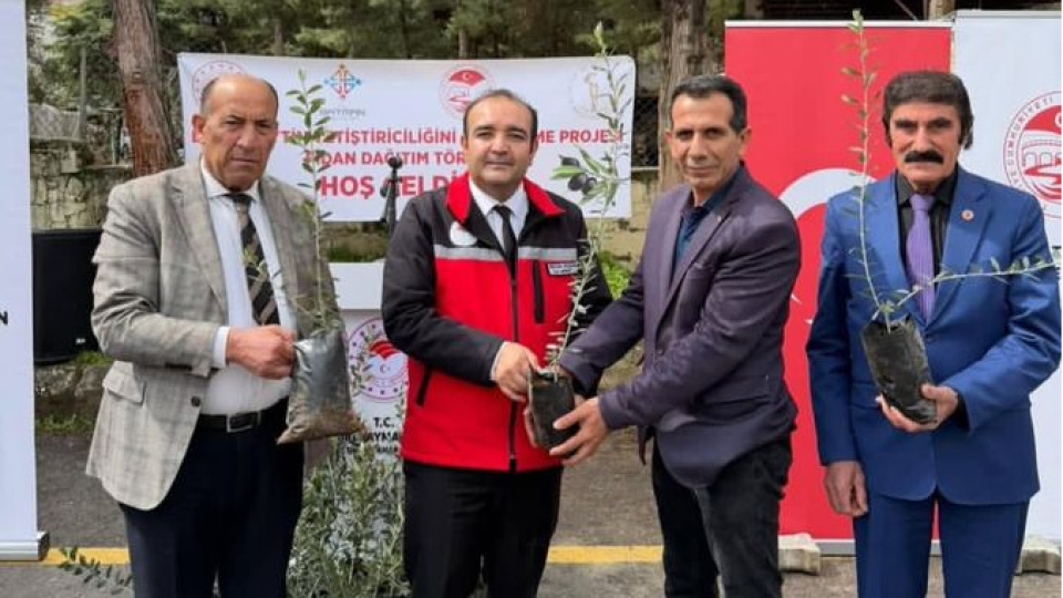 Batman'da 20 bin zeytin fidanı dağıtıldı