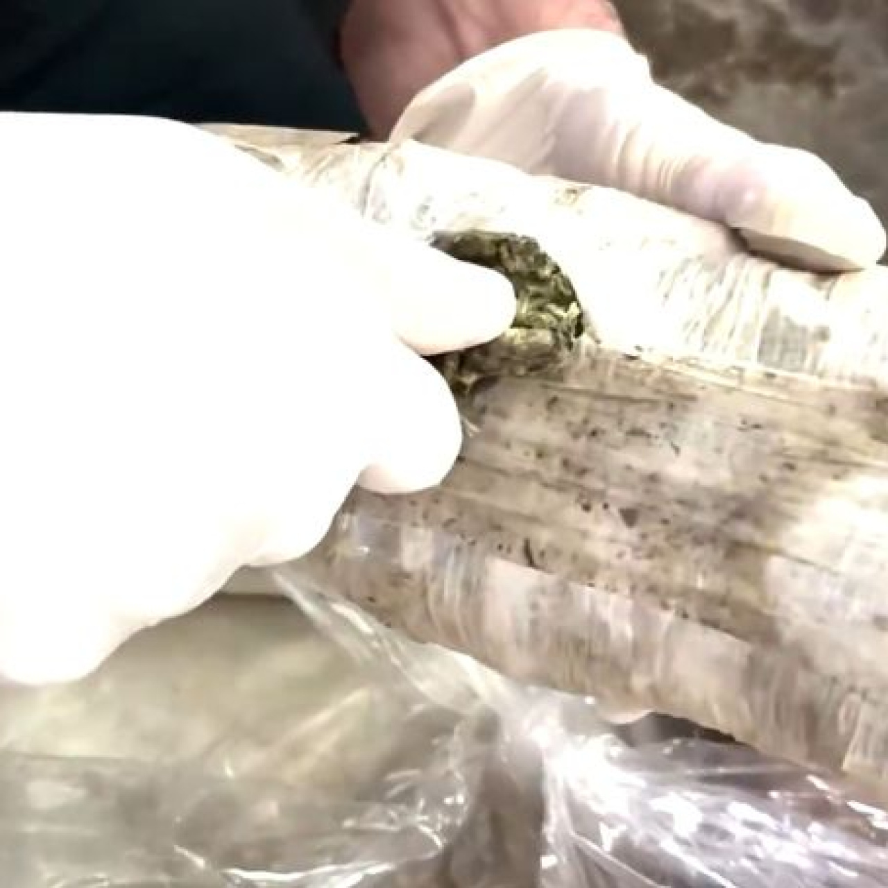 Uyuşturucu operasyonu: 373 tutuklama