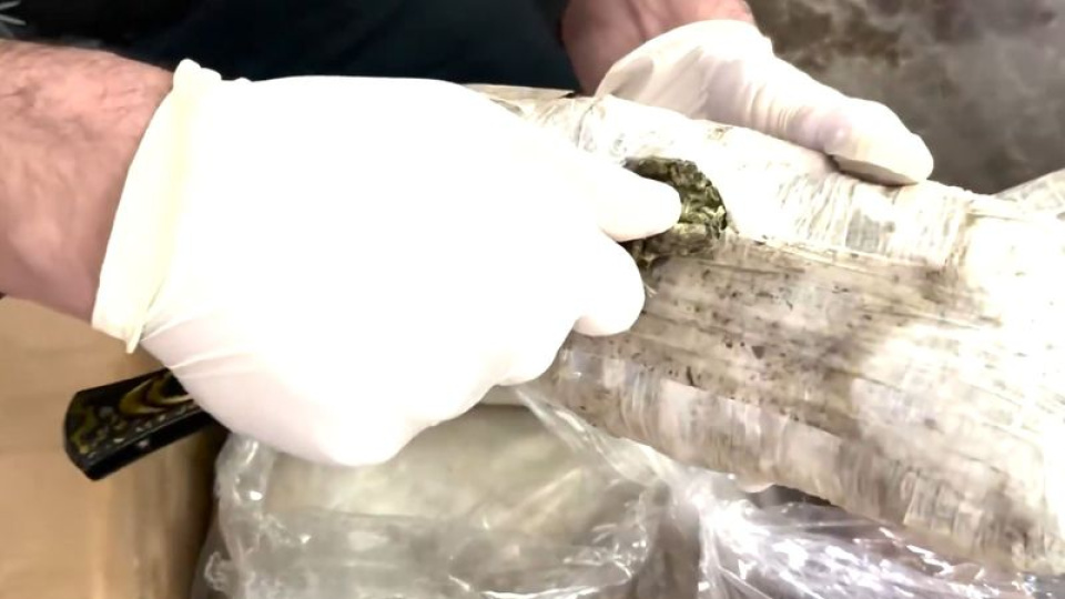 Uyuşturucu operasyonu: 373 tutuklama