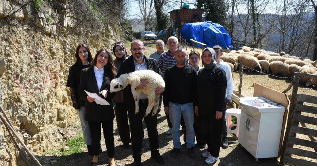 Samsun'da Miras Uyuşmazlığı 46 Yıl Sonra Çözüldü
