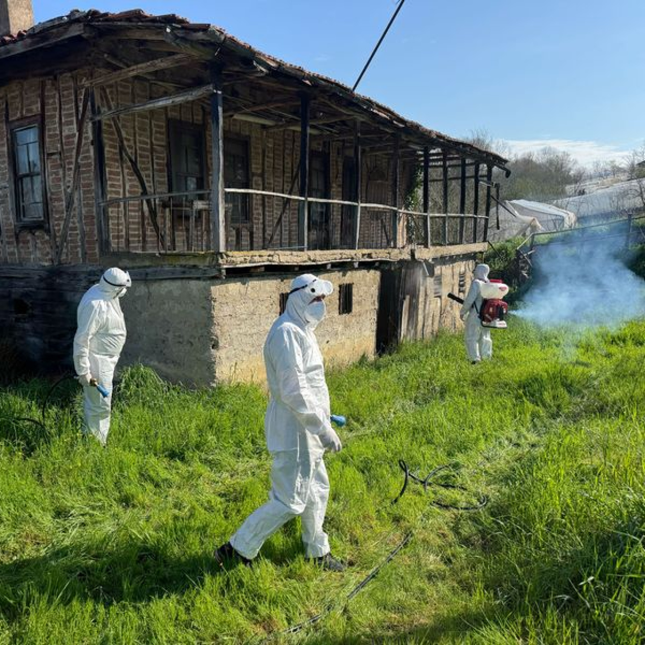 Bartın'da 16 bin metruk yapıya kokarca ilacı