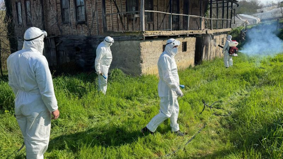 Bartın'da 16 bin metruk yapıya kokarca ilacı