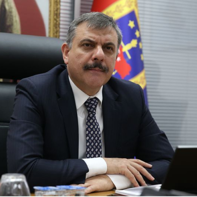 "Sokak hayvanlarının yüzde 75’i toplandı"