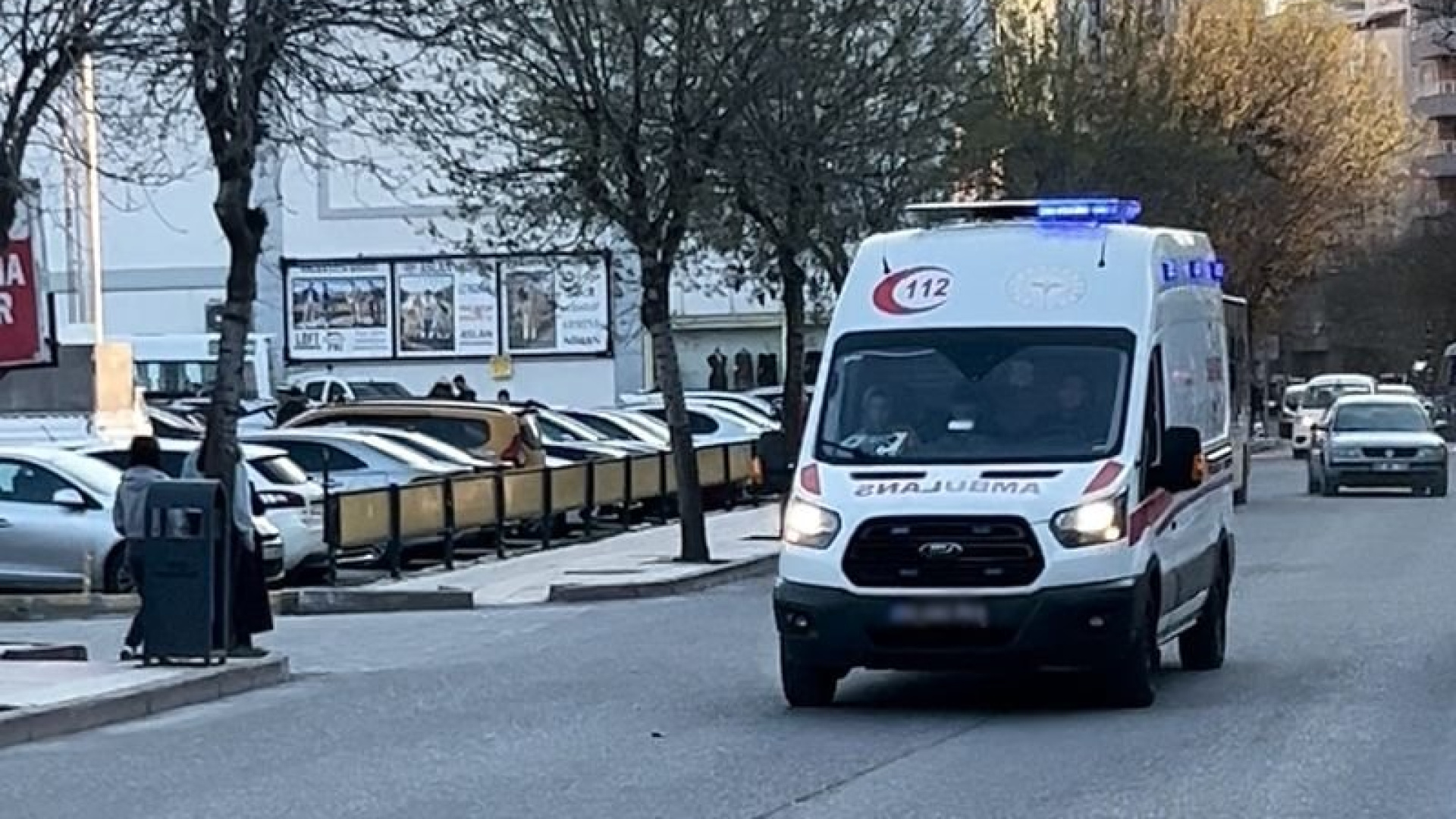 Siirt'te ağaç budarken kolunu kesti; kurtarılamadı | Son dakika haberleri