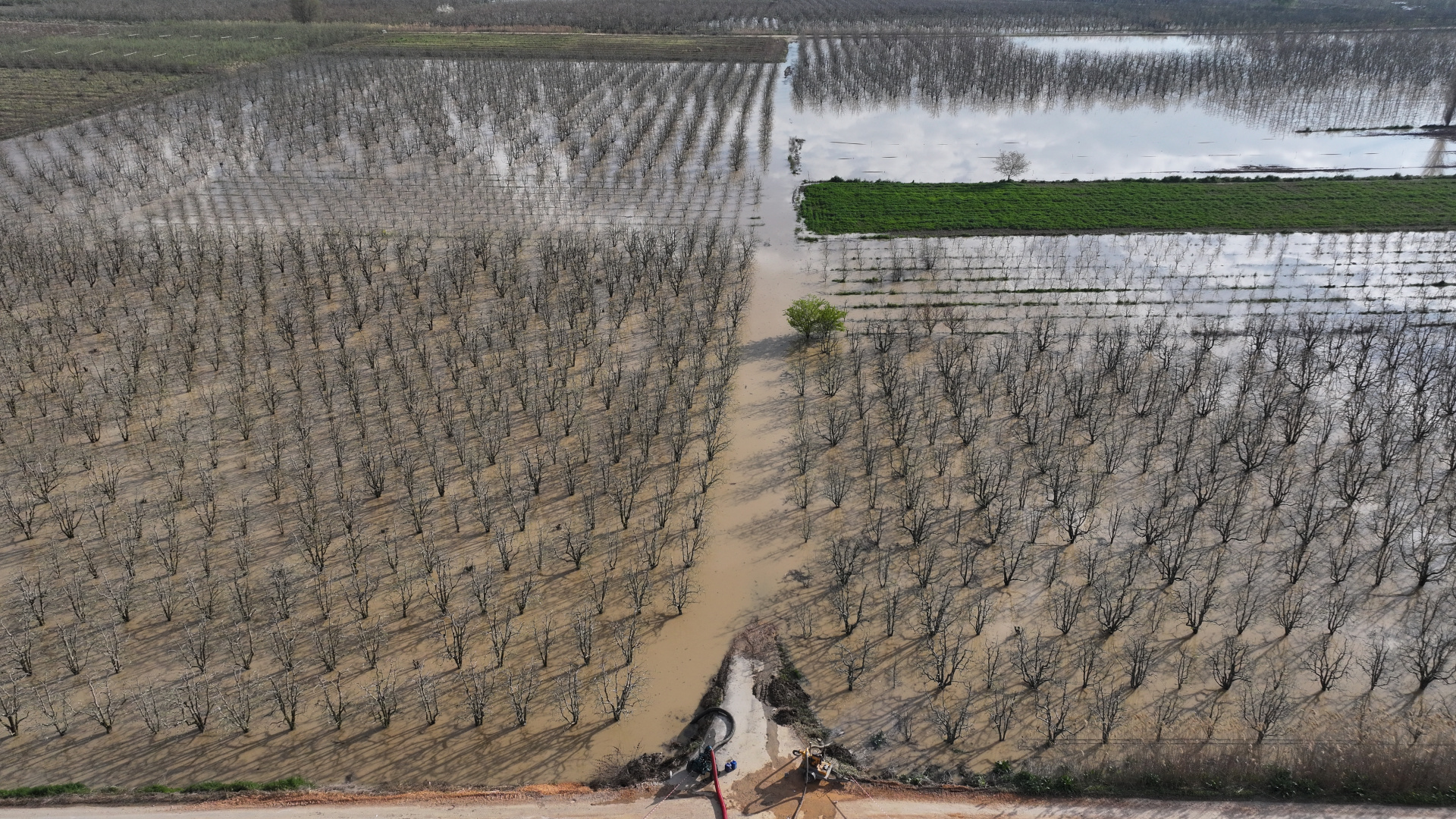 "12 yıldır ilk kez yaşıyoruz!" Tarlalar, bahçeler, seralar sular altında! | Son dakika haberleri