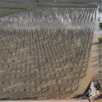 Tarlalar, bahçeler, seralar sular altında!